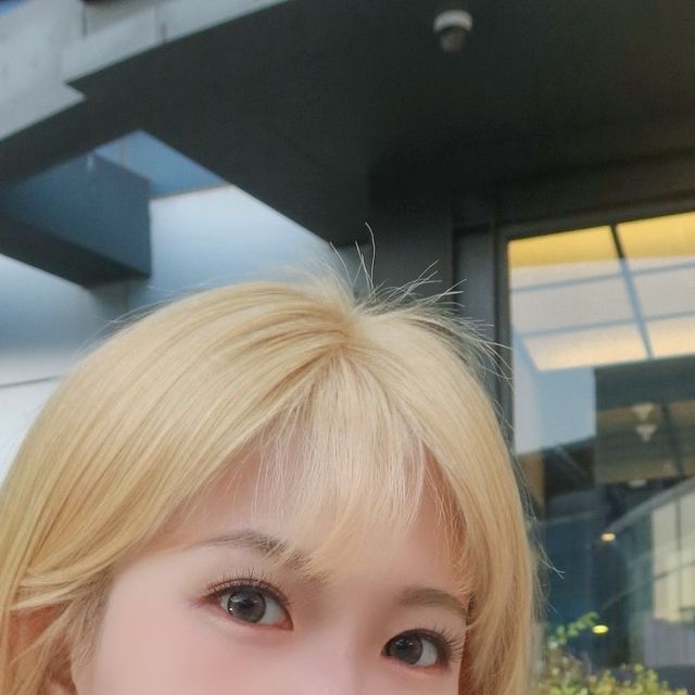 리타 on Instagram: "#광고 @sanga_pharm
상아제약 소연골 콘드로이친 프로테오글리칸으로 미리 챙기는 관절 건강 💚

소연골 추출물 전문 제조사 인도 Bacto Chem사의 원료 사용한 프리미엄 소연골 분말 100% 연골의 주요 구성 성분 프로테오글리칸, 2형 콜라겐을 동시에 섭취 가능해요 

화학첨가물, 부형제 9無, HACCP 인증 제조, TSE / BSE 정부 인증완료로 철저한 품질관리 ✨

1일 1회 2정으로 챙겨보세용 !

#상아제약 #소연골콘드로이친 #콘드로이친 #소연골"