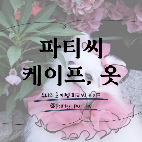 우니템 I 우니의 최애템, 공주강아지의 필수품 파티씨 강아지옷, 강아지케이프