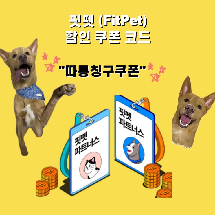 강아지 어플 '핏펫' / 첫 주문 1만원 할인쿠폰 받기 [따롱칭구쿠폰]