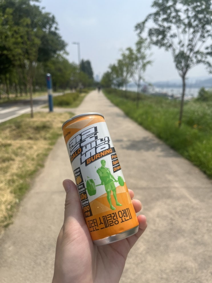 [멕널티]  운동 후 딱! 시원하고 맛있는 칼로버닝 프로틴 스파클링 복숭아 & 오렌지 맛 리뷰.