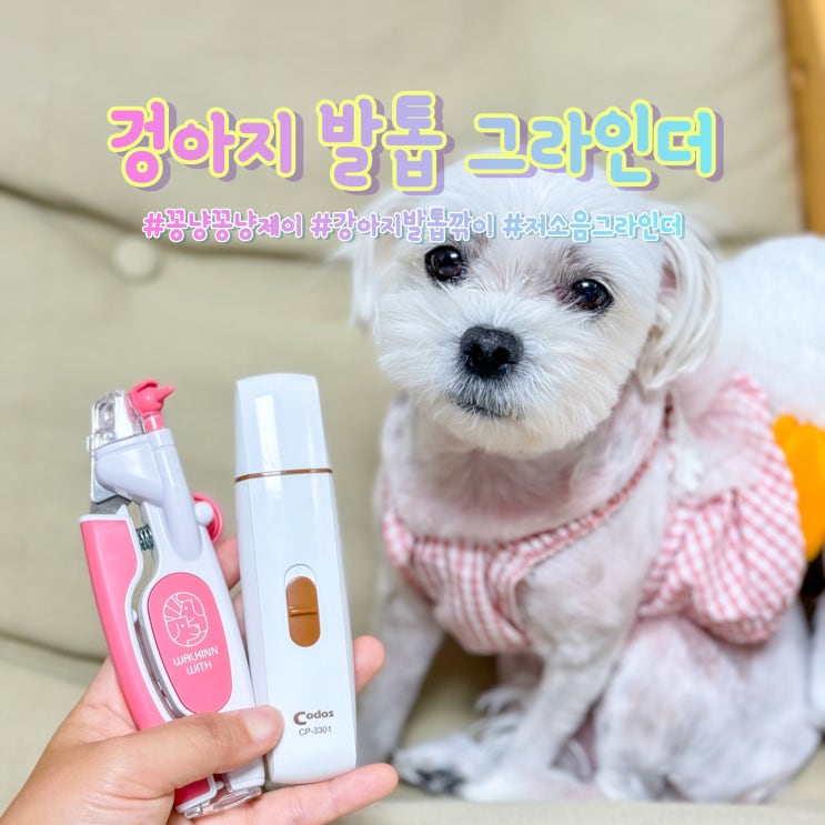 초보도 쉽게 깎고, 강아지 발톱 그라인더 저소음 마무리 feat.꽁냥꽁냥제이