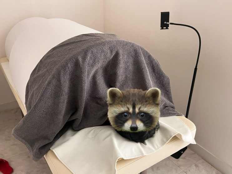 [내방역]편하게 하는 다이어트! 하체비만관리 <제이알센터> 서초동 다이어트, 서초동비만클리닉