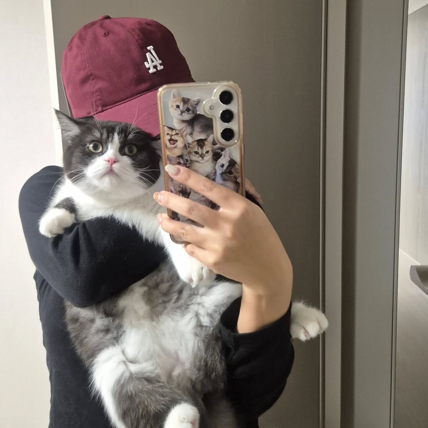 토실토실 꼬물이 🧢

#브리티쉬숏헤어 #브숏 #냥스타그램 #집사의하루 #catstagram