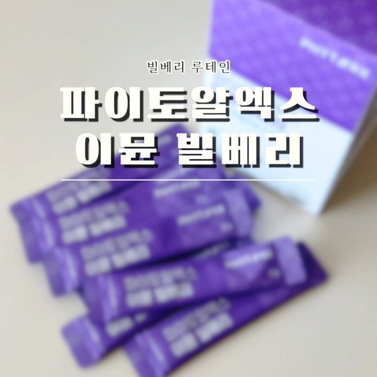 빌베리루테인 파이토알엑스 이뮨 빌베리