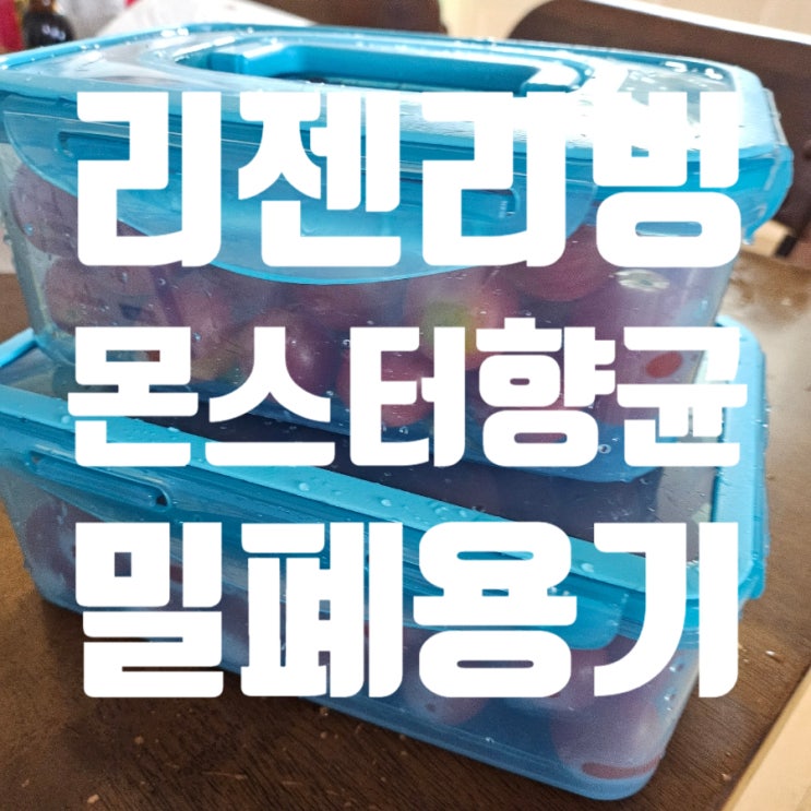 리젠리빙 몬스터 향균 반찬통 냉장고 밀폐용기