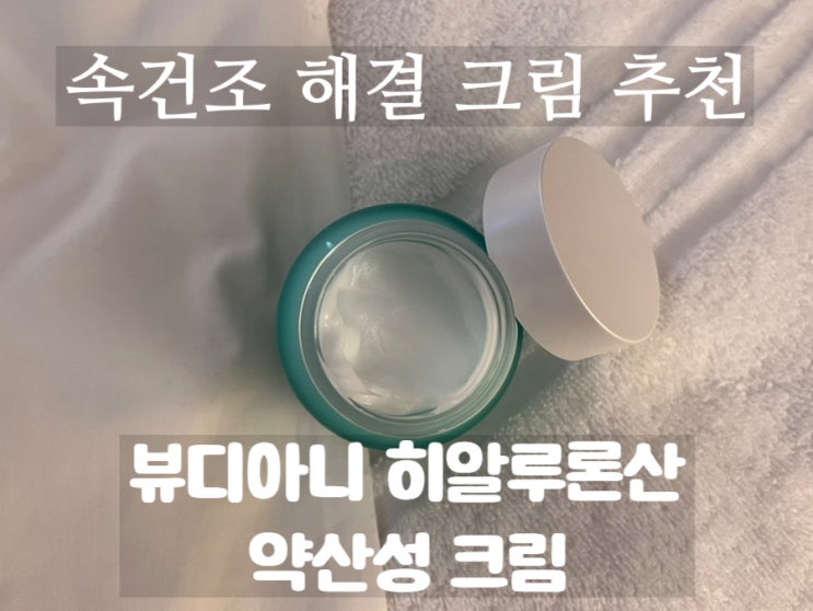 뷰디아니 히알루론산 약산성 크림, 속건조 잡는 꿀팁 정리