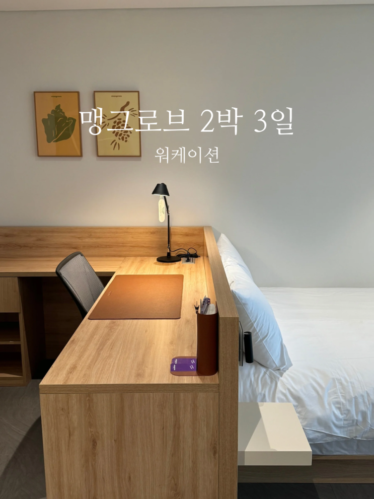 [강원도] 맹그로브 고성에서  2박3일 워케이션 내돈내산 후기(+예약할인 꿀팁)