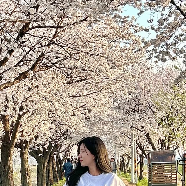 명희 on Instagram: "#광고 벚꽃 즐기기 찐막🥹
17년지기 금쪽이랑 올 봄 즐기기🍻
.
.
.
#무신사 #크림소다랩 #반팔티 #레터링 #이너티셔츠 #무지티 #크림소다 #체크셔츠 #벌룬팬츠 #캐주얼 #미니멀 #오오티디셀피 #오오티디일상 #봄코디 #대학생패션 #패션계정소통 #데일리핏"