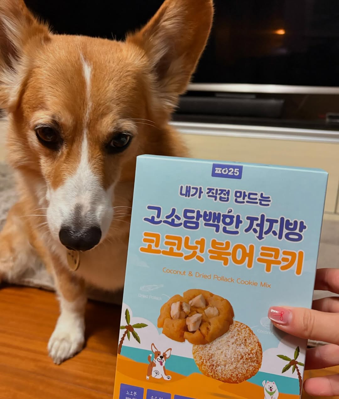 탐방대 밍구 | #광고 색조맛집 투에이엔에서의 쿨톤색조화장품으로 한 메이크업 !! 쿨톤 아이팔래트부터 쿨톤 하이라이터, 쿨톤 립을 올리브영 온라인몰 투에이엔에서 구매했어요! 아이팔래트 09 드림캐쳐 01 핑크스노우 02 베리샤워 03 엔젤티어 04 러브픽션 05... | Instagram