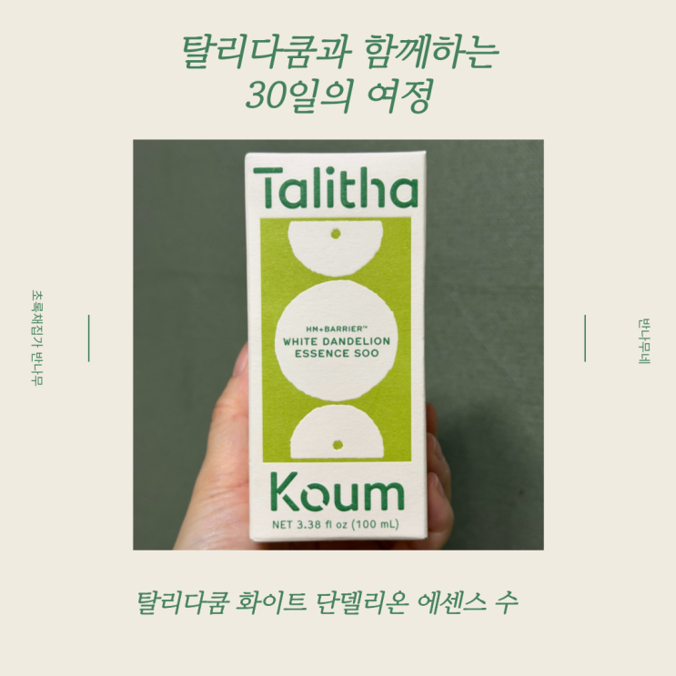 비건 화장품 / 탈리다쿰 화이트 단델리온 에센스 수 한달 사용 후기