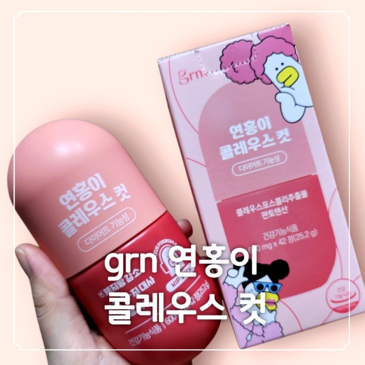 GRN 연홍이 후기 | 포스콜린 다이어트, 콜레우스포스콜리로 복부라인 관리 도전!