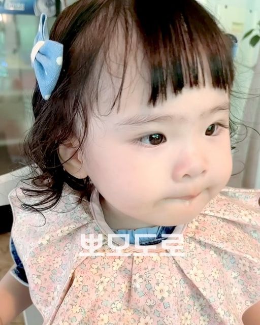 Nora on Instagram: "#협찬 노라와 함께한 일산 맛집 뽀모도로 (՞ ܸ.‪ˬ.ܸ՞)” #먹방 

#협찬 이지만 솔직한 후기를 약속해요🤙🏻

🍝 뽀모도로 (일산 밤리단길점)
♡︎ 노라는 함미, 하삐, 엄마랑 함께 다녀 왔어요! 
♡︎ 참고로 저희 아빠는 외국에서 오래 거주 하셨지만 외국 음식을 좋아하지 않으셔서 
♡︎ 처음엔 우리끼리 먹으라 하셨는데 가서 제일 많이 드신건 안비밀🙈🙉
♡︎ 가격도 착하고 서비스도 너무 좋아요🙆🏻‍♀️
♡︎ 한국 와서 이렇게 친절한 곳은 처음이였어요!
♡︎ 뽀모도로는 정말 서비스가 너무 좋아서 감동 했어요🥹 제가 혼자 그릇을 옮기며 사진을 찍고 있었는데 직원분이 오셔서 그릇을 옮겨 주셨어요! 그리고 테이블마다 벨이 있었는데 노라가 계속 벨을 눌러서 답답하셨을텐데 그냥 좋게 말씀 해주시며 꺼주셨어요! 그리고 제가 뭐 할 때 마다 와주셔서 하나 하나 다 도와주셨어요! 정말 친절함 최고에요! ദ്ദി（• ˕ •マ.ᐟ
♡︎ 창밖에 도라지꽃이 보이는데 너무 예뻤어요~ 뷰도 예쁘고 음식도 맛있어서 힐링 제대로 하고 왔어요! 

B세트 (₩68,000) + 빠네 (₩2,000)
♡︎ 식전빵, 이탈리안 치킨 샐러드, 피자, 파스타, 리조또 
 (리조또 원하지 않으시면 파스타로 변경 가능) 
♡︎ 음료수 (커피, 수국차, 사이다, 콜라) 
 사이다나 콜라 선택시 2캔 가능, 커피나 수국차는 4잔 가능) 

식전빵 (포카치아)
♡︎ 빵을 올리브 오일과 발사믹 드레싱에 찍어 먹으니까 너무 맛있었어요~
♡︎ 빵이 쫀득 쫀득해서 너무 맛있어요 ^^

이탈리안 치킨 샐러드 (만다린 드레싱)
♡︎ 드레싱 선택 가능해요! 저희는 만다린 드레싱 선택 했어요
♡︎ 샐러드가 너무 맛있어서 거의 저 혼자 다 먹었어요! 
♡︎ 닭고기가 부드러웠어요! 드레싱은 과하게 달지 않고 되게 맛있었어요! 
♡︎ 방울 토마토가 싱싱하고 달아서 너무 맛있어요! 

피자 반반 (후레쉬 루꼴라 + 고구마 피자)
♡︎ 고구마 피자: 직접 만든 고구마 푸레와 모짜렐라 치즈에 베이컨을 얹어 구운 달콤한 피자 
♡︎ 전 개인적으로 고구마 피자 안 좋아하는데 뽀모도로 고구마 피자는 단짠인데 단맛보다 짠맛이 조금 더 강해서 맛있었어요~
♡︎ 단맛이 너무 강하면 좀 인위적인 맛이 나서 싫어 하는데 여긴 정말 너무 맛있었어요!! 
♡︎ 후레쉬 루꼴라: 신선한 행채인 루꼴라와 모짜렐라 치즈와 토마트 소스가 어우러지는 웰빙 피자 
♡︎ 건강하고 맛있는 맛! 먹고 죄책감 안드는 맛! 
♡︎ 고구마 피자랑 같이 먹으면 너무 잘 어울려요 ^^ 
♡︎ 아빠는 원래 고구마 피자 좋아하시는데 루꼴라도 맛있다며 계속 드셔서 전 반조각만 먹었다는건 안비밀 ㅋㅋㅋㅋㅋ

파스타 1 (게살 로제 빠네)
♡︎ 게살 로제 소스의 진한맛이 촉촉히 스며들어 빵 끝까지 깊은 맛이 느껴지는 파스타 
♡︎ 빵이 부드러워서 같이 먹으니까 맛있었어요!
♡︎ 노라도 너무 맛있게 먹었어요 근데 끝맛이 살짝 매콤해서 놀라서 표정이 조금 굳었는데 
 바로 더 달라고 했어요 ㅋㅋ 
♡︎ 양이 푸짐해서 1.5 - 2인분은 되는 것 같아요! 

파스타 2 (비안코)
♡︎ 풍부한 해산물을 볶아낸 매콤한 오일 파스타 
♡︎ 안에 들어간 해산물이 너무 신선하고 맛있었어요!! 하나 먹고 노라 피자랑 파스타 
 주고 더 먹으려 했는데 다 사라졌어요 ㅋㅋㅋ 제일 인기 많았던 파스타였어요ㅋㅋㅋㅋ
♡︎ 면도 짭쪼름해서 너무 맛있어요! 살짝 매콤함이 있는데 매운거 못 드셔도 충분히 
 드실 수 있을거에요! 
♡︎ 다음에 가면 고구마 피자랑 샐러드랑 비안코 파스타 꼭 다시 먹고 싶어요! ( ˃ ⩌˂)
 
🍝뽀모도로 일산밤리단길점
⏳ 화 - 토: 11:00 - 21:00
 라스트오더: 14:00
 브레이크: 15:00 - 23:00
 라스트오더: 20:00
😴 월요일 정기 휴무 
☎️ 031 - 912 - 7765
💎 경기 고양시 일산동구 대산로11번길 5-21
🅿️ 주차 가능 (8대)
 가족 단체 예약 가능
 와인 콜키지 무료

🔖 𝑻𝒉𝒂𝒏𝒌 𝒚𝒐𝒖 @pomodoro13

#🐰
#dear__nora #Nora
#디어노라 #노라

#일산뽀모도로 #밤리단길맛집 
#일산파스타 #정발산파스타 
#뽀모도로일산점 #일산맛집 
#일산파스타 #정발산파스타 
#정발산파스타맛집 
#밤리단길파스타 #일산레스토랑"