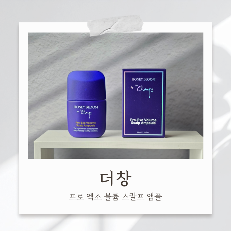 탈모앰플추천 더창 두피 앰플 프로 엑소 볼륨 스칼프