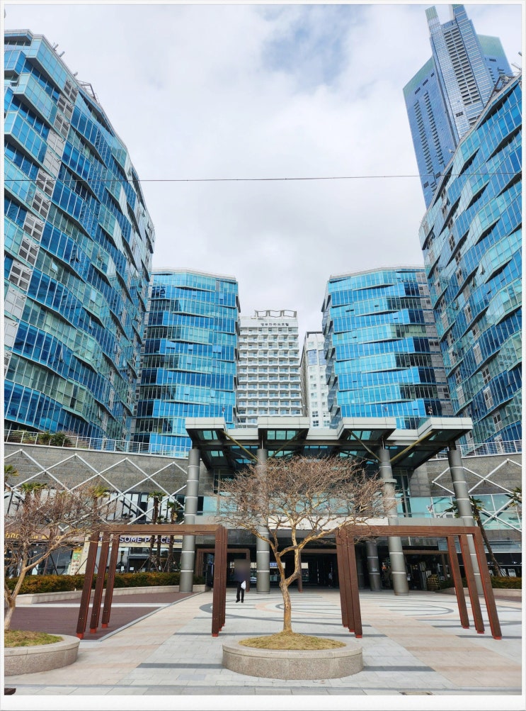 8월 부산 여행: 해운대 바다뷰 숙소 추천 - 팔레드 시즈 로얄 스위트