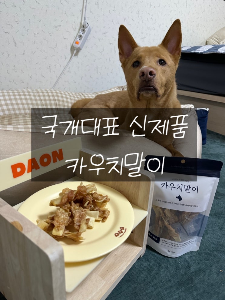 강아지 오래먹는 수제간식 추천 우피껌 "카우치말이"