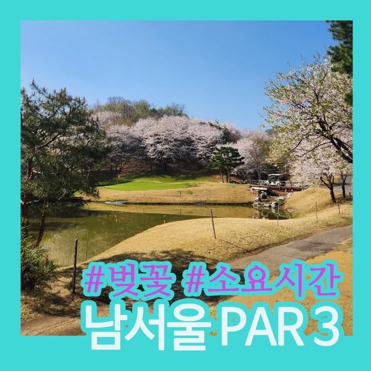 파3 복장 고민 NO｜남서울 파3에서 츄리닝 입고 벚꽃 필드레슨