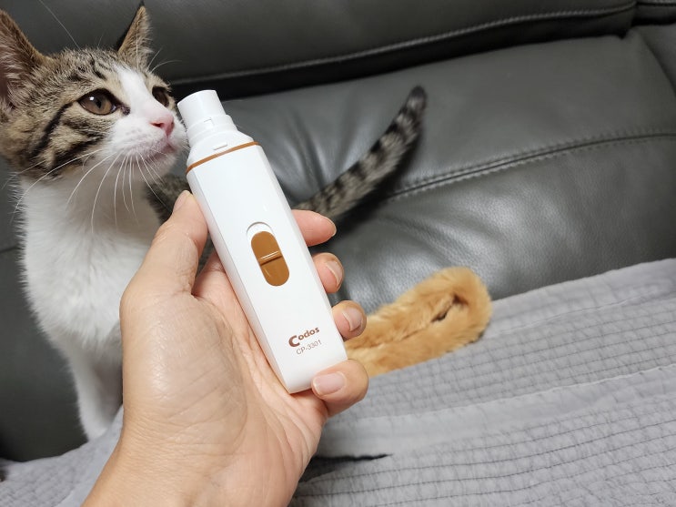 고양이 발톱 그라인더 편하고 좋은 꽁냥꽁냥제이 발톱 깎이