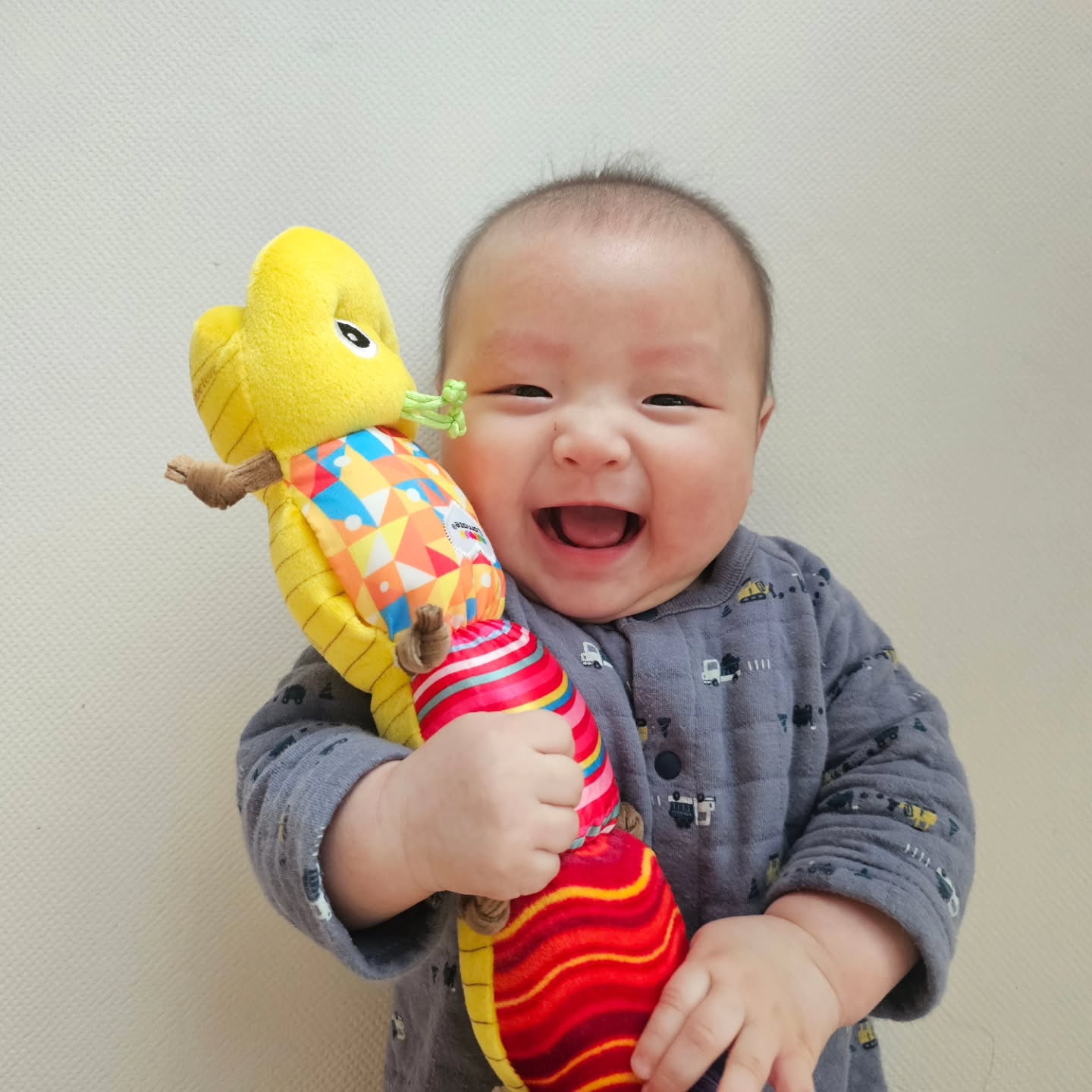#협찬 
우리아기 오감을 자극하는 국민장난감😍😍
10여년전 큰아이들 키울때에도 최애장난감이였는데 
막둥이도 역시 라마즈~국민애벌레!
.
그때랑 달라진거라면 멜로디칩이 들어간다는 사실~👏👏
탈착이 되어 멜로디칩 빼고 세탁도 가능👍👍
.
화려한 색감으로 시각~👍
바스락,딸랑이 청각~ 👍
부들부들 촉감 ~키재기도 가능해요 👍
봉제인형 특성상 겉표면만 살짝 닦아주거나 혹은 손세탁해주시면 되고요 
.
우리아들 애착이형^^
물고 뜯고 맛보고 만지고 안고 소근육발달! 
외출, 여행할때에도 필수템🥰🥰
.
#국민애벌레 #라마즈국민애벌레 #라마즈 #뮤지컬자극애벌레 #터미타임애벌레 #라마즈애벌레 #라마즈애벌레세탁 #라마즈세탁 #국민애벌레세탁 #5개월아기장난감 #아기장난감