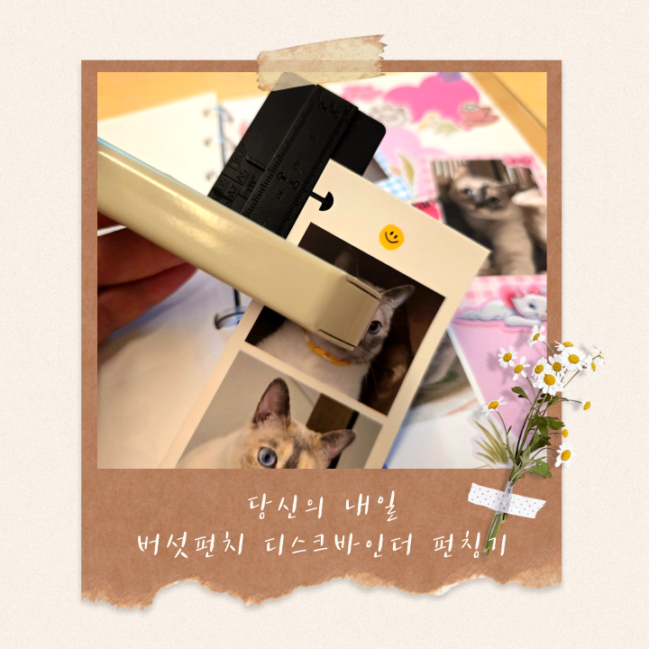 내 마음대로 꾸미고 만드는 다이어리 버섯펀치 다꾸 스크랩 덕질