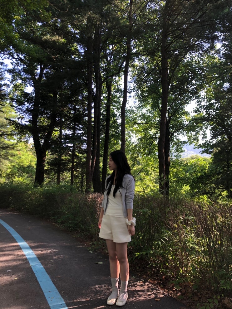 비바브라운 레이스 크롭 숏 슬리브 탑 후기 - 러블리한 여름 반팔 추천