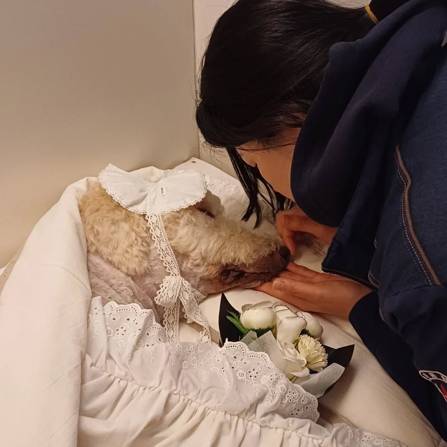 안녕 .. 몽이가 떠난지 80일
몽이가 떠난 후.. 아침 저녁으로 산책했던... 내가
몽이가 없으니까... 뭘 해야될지 모르겠더라...

그래서 .. 요즘 요리를 하고 있어 ㅎㅎ 

몽이가 나한테는 1순위라.. 항상 난 뒷전이였거든
라면만 먹고 산책하기 바빴지 ㅎㅎ 

그래서 요즘 나를 위해 멋있게 차려먹는 중 
어설프지만 요리에 도전 중 !!! 

몽이를 보내도 ... 내 인생은 ing ~~ 중 이니까
내가 뭐를 좋아하고 잘하는지 알아가고 싶어...

새해 복 많이 받고 2025년은 행복한 일만 가득하길 🙏🏻