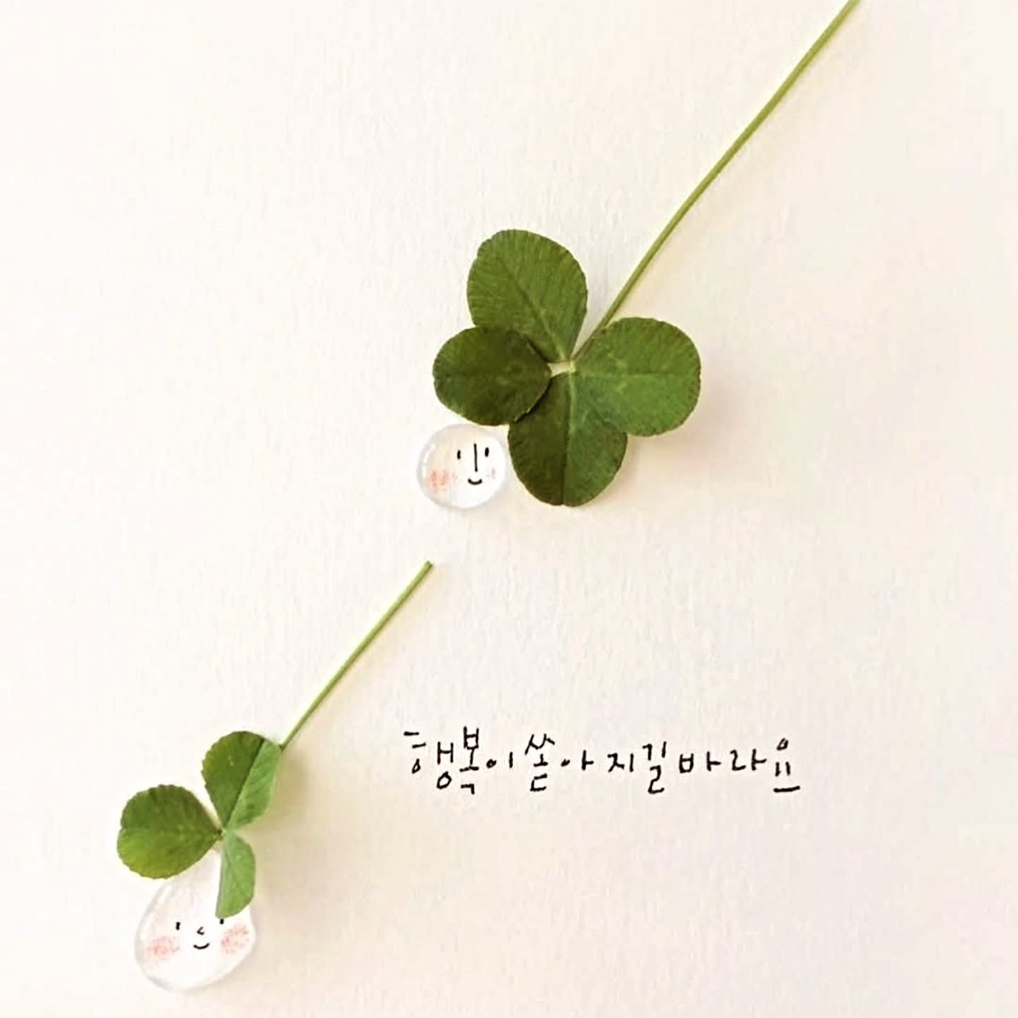 모두에게
쏟아지길🍀

2025. 잘 살아나갈 우리🤎
입니다.

#담아옴
#나누고
#돕고
#이루어지길