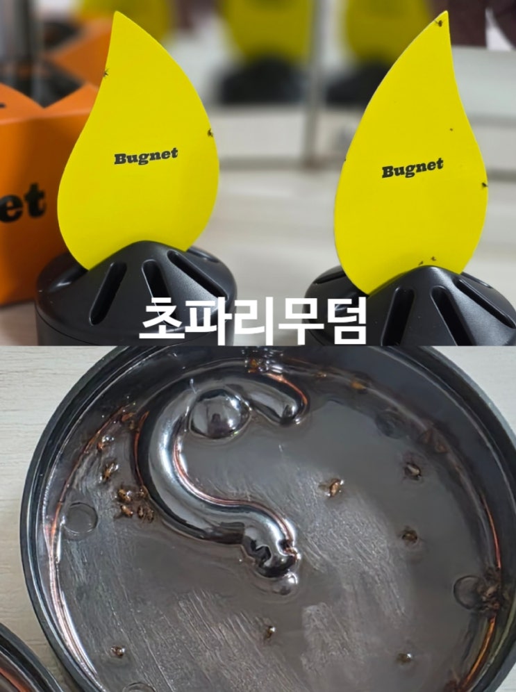 초파리 퇴치 버그넷 초트랩! 역대급