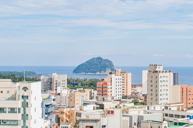 직거래특가 ㅣ 케니스테이 제주 서귀포