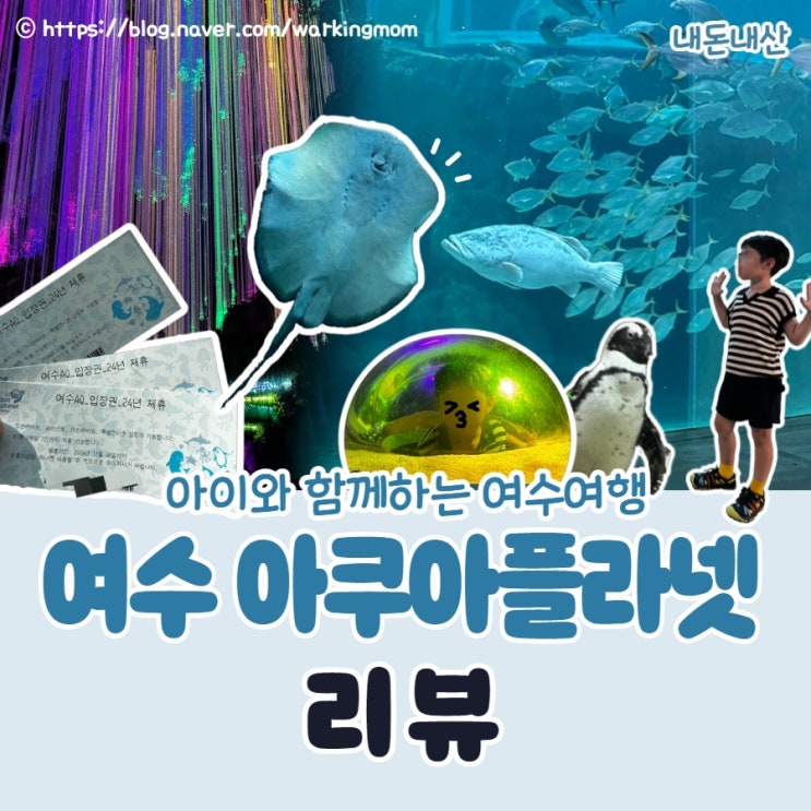 [여수 여행] 아쿠아플래닛 투명보트 거북이 먹이 주기 체험 주차장 후기 (내돈내산)