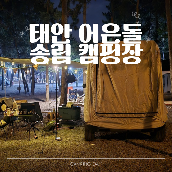 해루질이 가능한 태안 파도리캠핑장 어은돌 송림캠핑장 :: 캐스퍼 차박