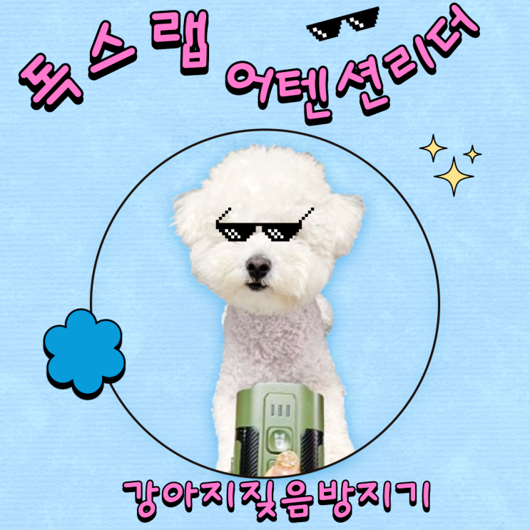 강아지행동교정 독스랩 어텐션리더 강아지짖음방지기