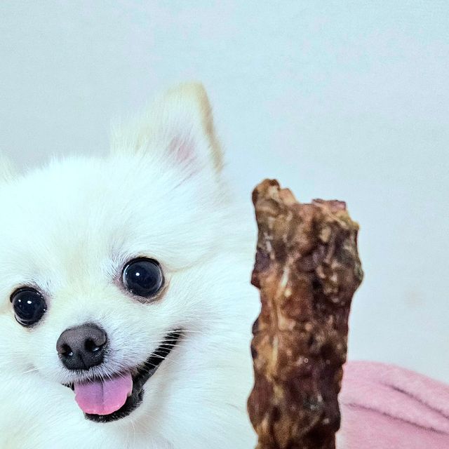 김예진 on Instagram: "#광고 [행복하개 희희멍멍] 👉 강아지 수제 간식 오리목뼈 🦆 📍 실제 간식 리뷰 * 기호성 : 좋음 * 패키지 : 깔끔하며, 진공 포장이 되어있고, 아이스박스에 아이스팩과