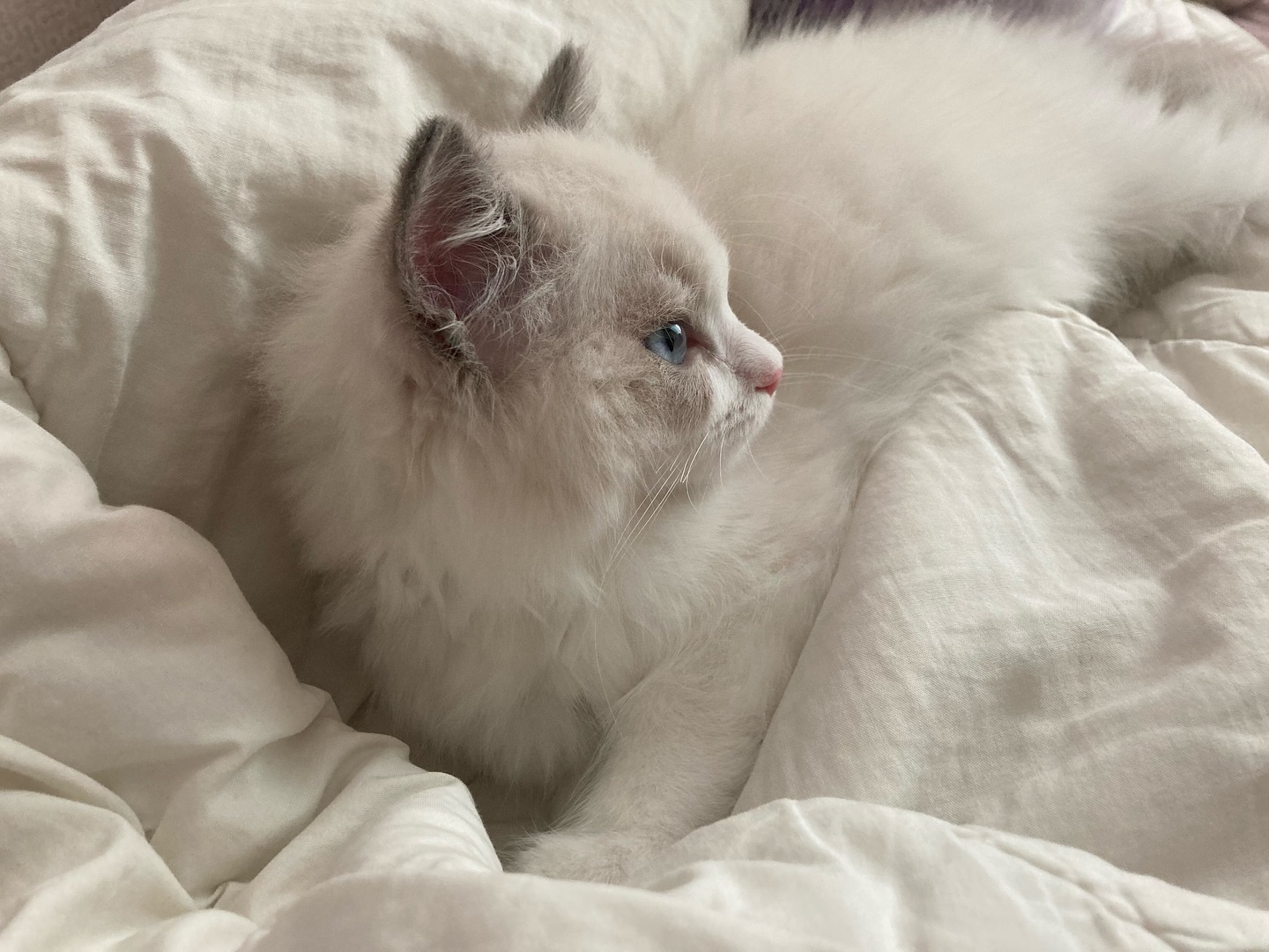 My baby 🍼🤍🤍🤍🪽
