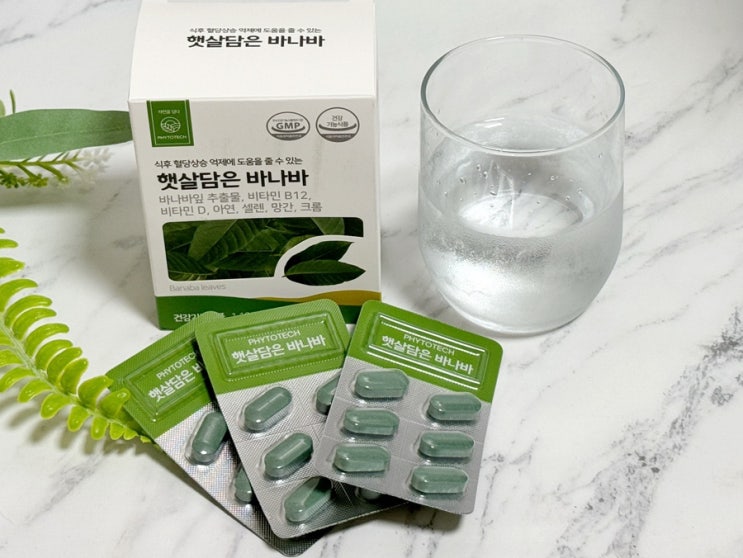 혈당관리영양제추천 오징어약사 파이토테크 햇살담은바나바