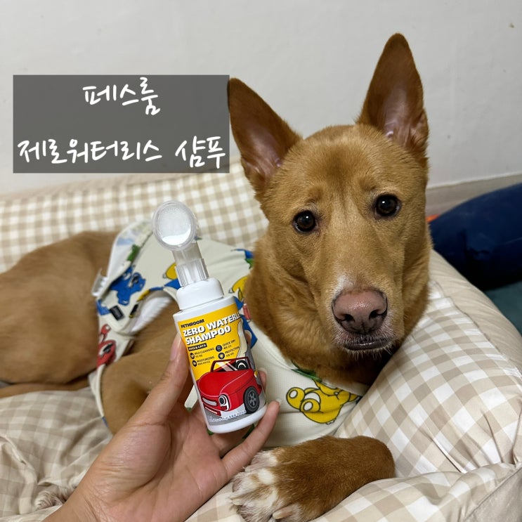 산책 후 필수템 : 강아지발세정제 페스룸 제로워터리스 샴푸 후기