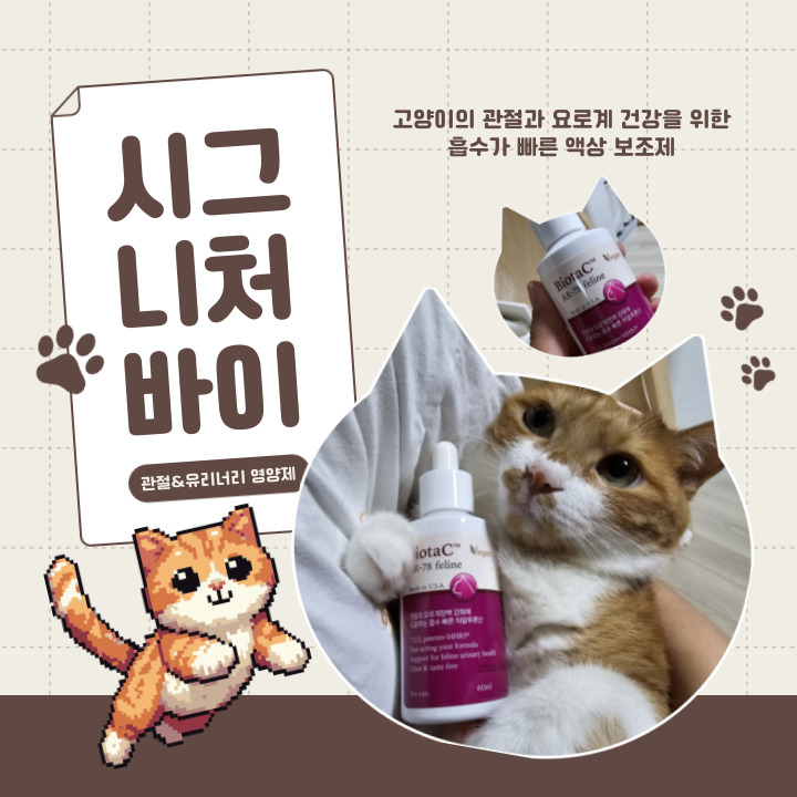 고양이요로결석 미리 보조제로 관리해 주세요 시그니처바이 관절&유리너리 영양제