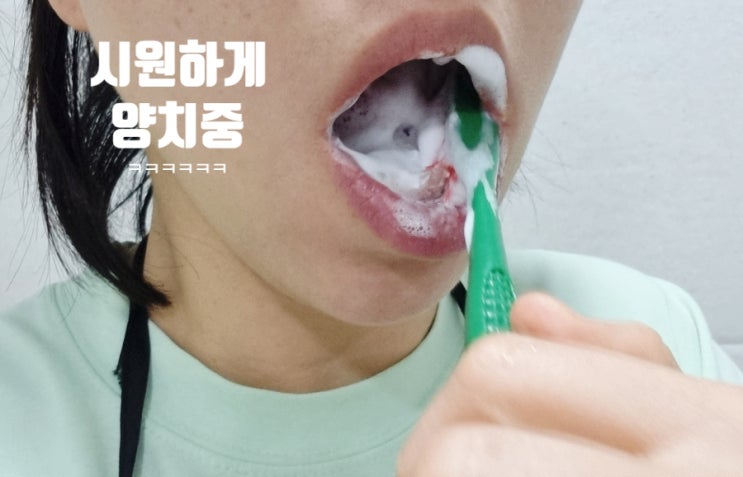 부드러운칫솔 미세모칫솔 뷰카 더블 미세모 칫솔 사용 솔직 후기