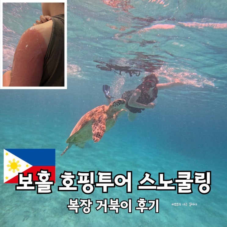 필리핀 보홀 호핑투어 스노쿨링 복장 보홀트래블 거북이 내돈내산