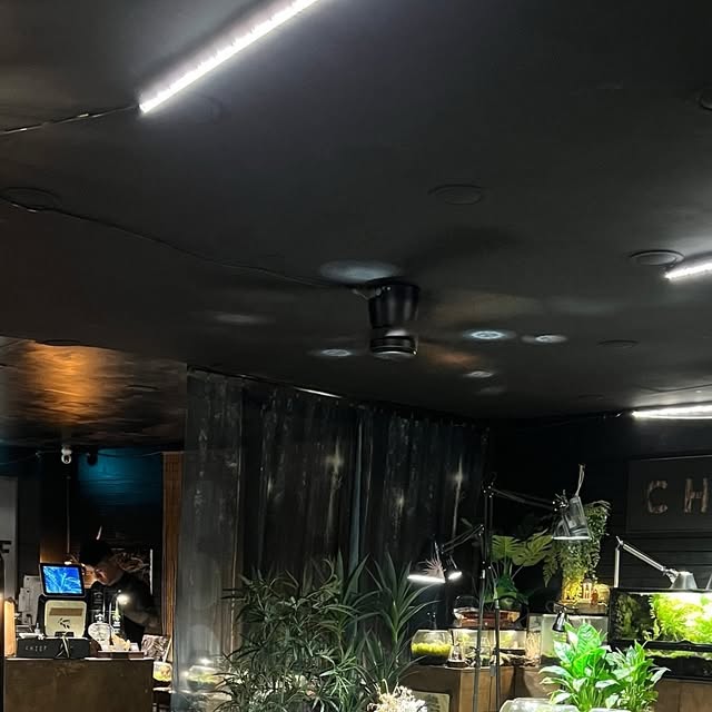 지 현 ᴊɪ ʜʏᴜɴ on Instagram: "#협찬 카페 들어가자마자 분위기에 ❛우와ꔚ❜ 했던 신부동 치프☕️ 테라리움과 비바리움이 전시 된 카페는 처음이라 넋 놓고 구경 😲 아무 생각없이 멍때리