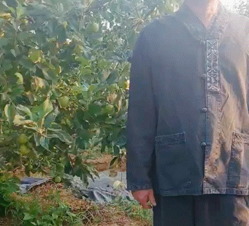 연예인들도 많이 입는 개량한복점 '백제의 생활한복'