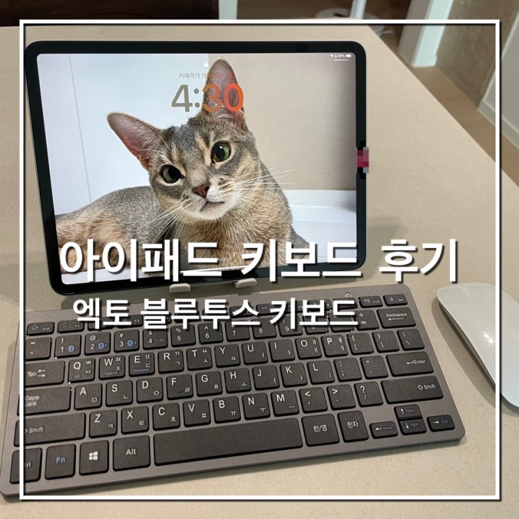 [쓸거리] 엑토 슬림 키보드 후기_아이패드 이모티콘 쓰는 방법