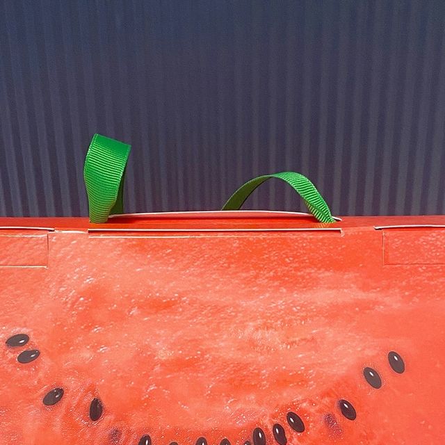 성해니 on Instagram: "#광고 아이원 더퍼스트 루테인지아잔틴 미니🍉 안국건강 아이원 베스트셀러 ’수박씨 루테인‘ 컨셉의 한정판 패키지가 출시되었어요✨ 9월 한달만 판매하는 리미티드