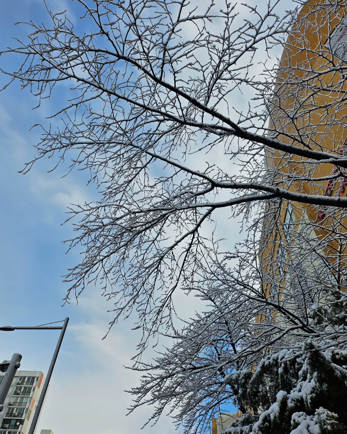 첫눈 무슨일이야..
넘 많이오잖아..❄️☃️
출근길 조심조심
