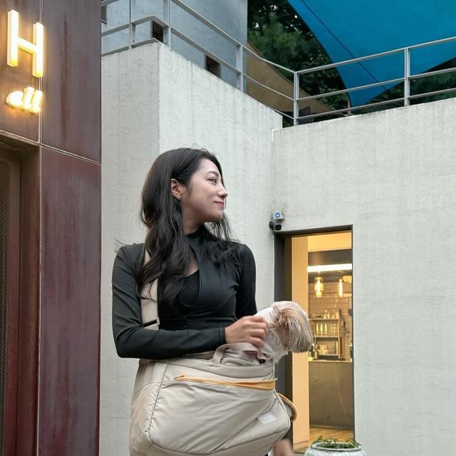 🌊 ʜᴀᴘᴘʏꜱᴇᴜʟ👗🏄🏽‍♀️🏌🏼‍♀️🎾 on Instagram: "#광고 우리 🐶애기랑 놀러갈때 그때마다 이것저것 챙길것도 짐도 많은데 이 👝이동가방만 있으면 정말 가방만 딱! 챙기면
