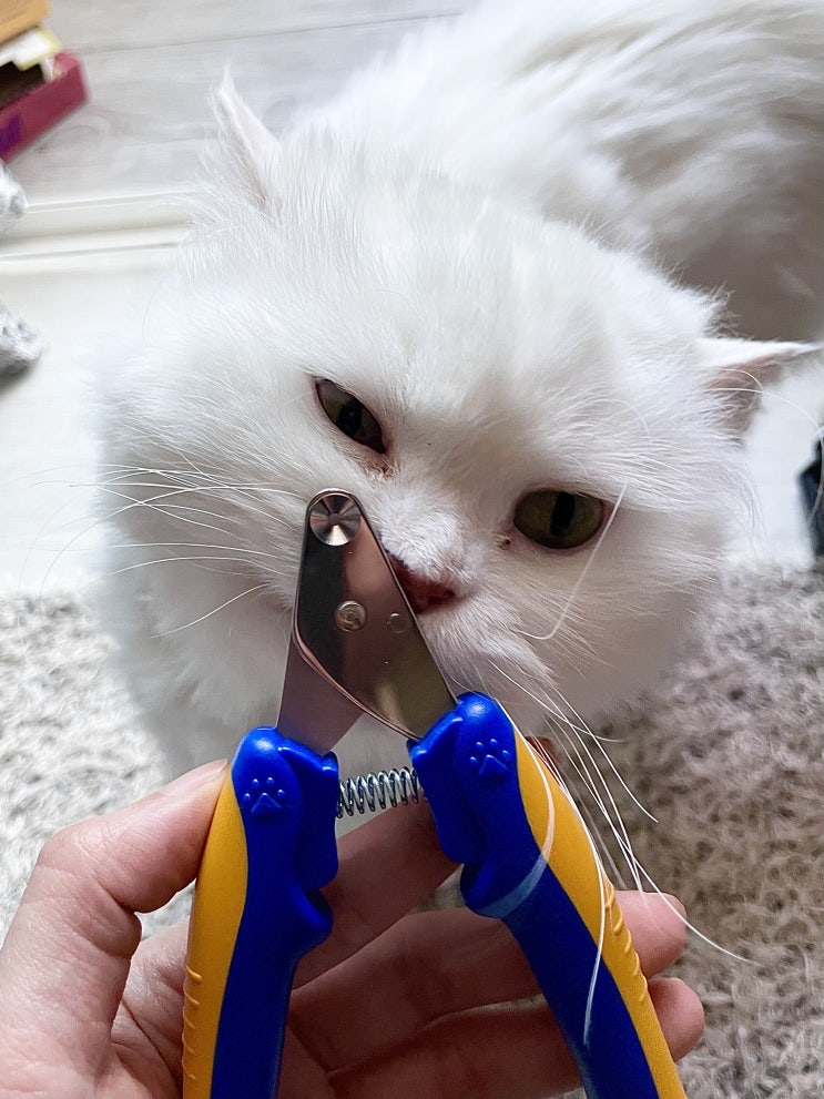 페스룸 고양이 발톱깎기 | 스마트 네일 클리퍼 캣츠