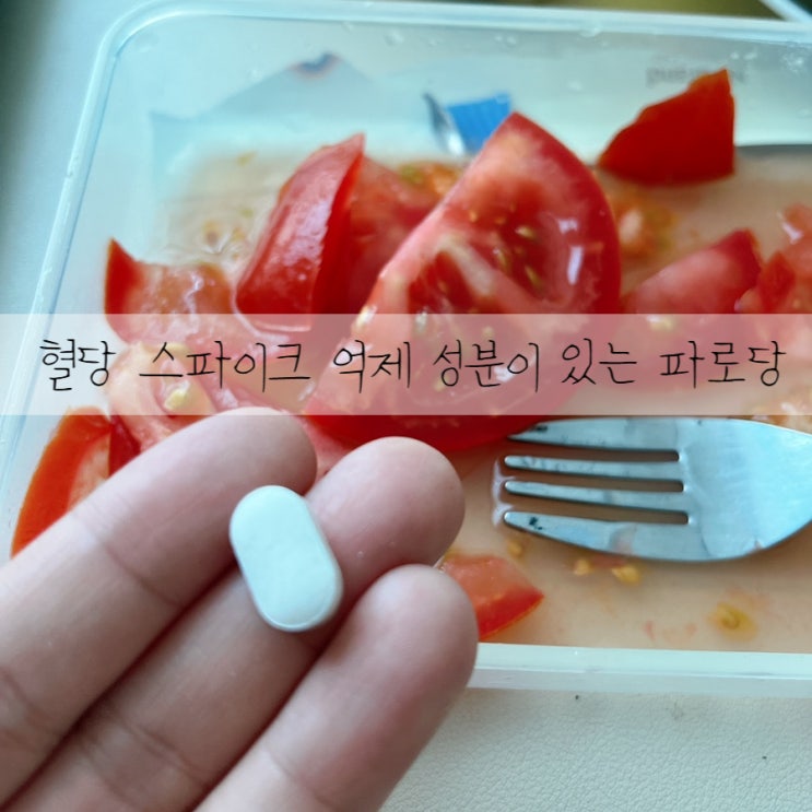 혈당관리에 좋은 슈퍼푸드 파로 듬뿍 파로당
