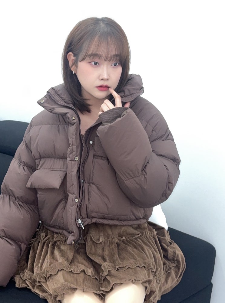 [패딩 추천 / 아우터 추천] 덴키 크롭 하이넥 빅 포켓 패딩