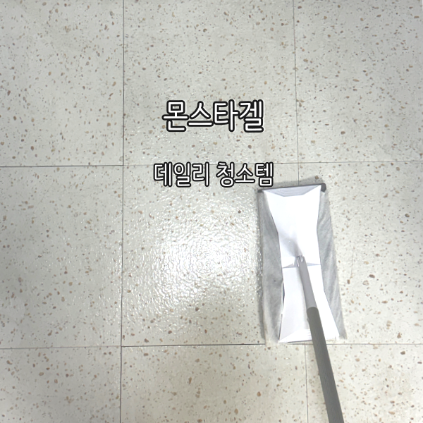 몬스터겔 워터포 사용 후기 요즘 주부들이 찾는 데일리 청소템, 자석밀대걸레 솔직 후기