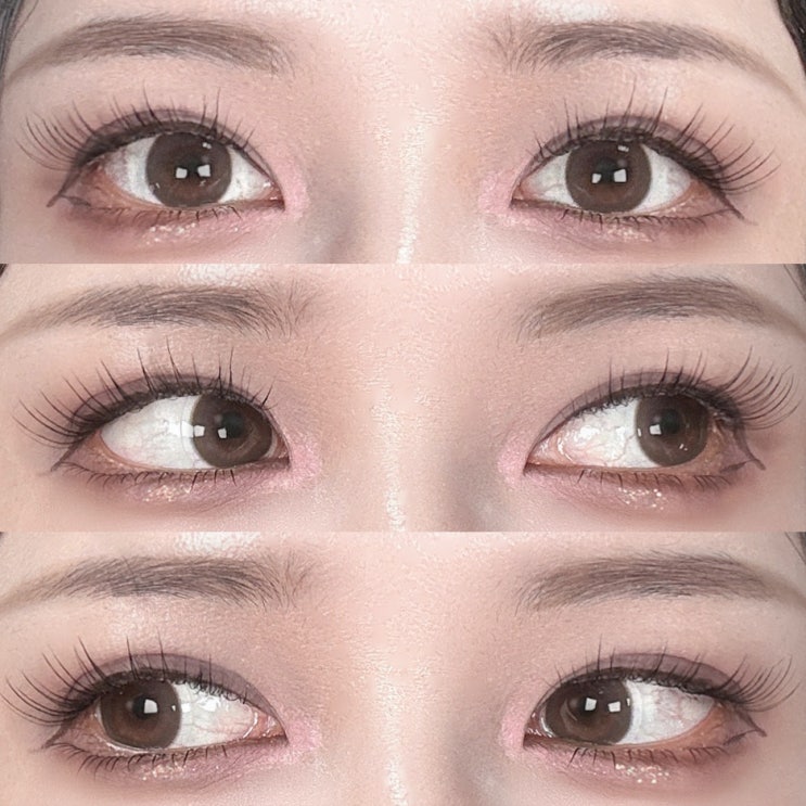 네오이즘 달리 초코 원데이 렌즈 후기