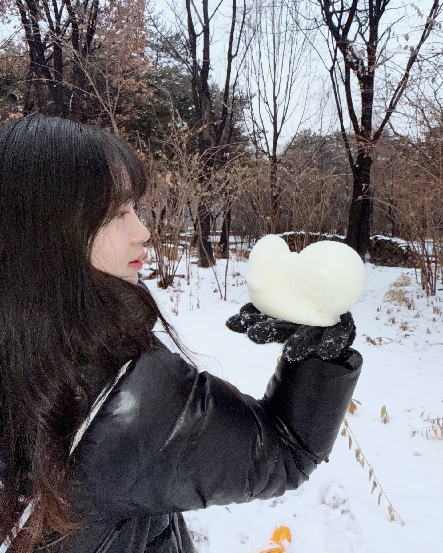 🌨️
